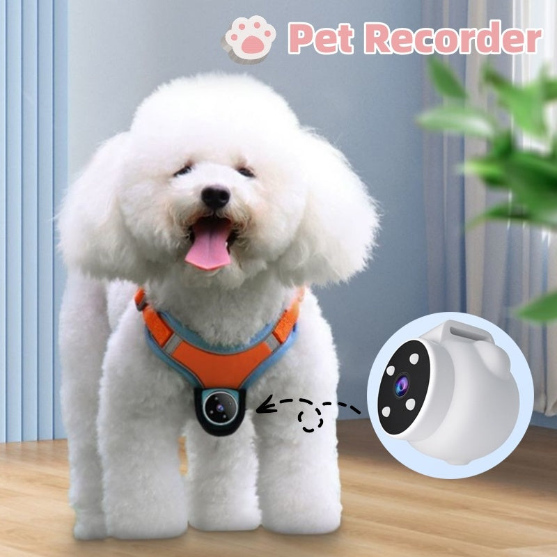 Coleira com Câmera para Cães e Gatos: Gravação de Vídeo e Movimento, Ação e Esportes